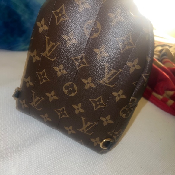 Louis Vuitton Mini Palm Springs main image 10